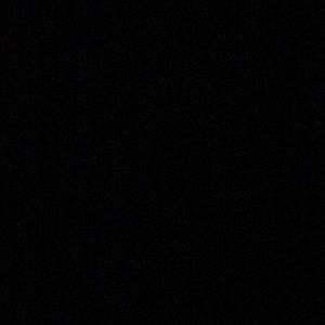 Meet your Posher, Wesley